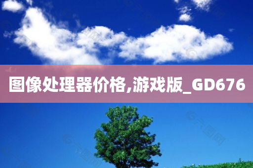 图像处理器价格,游戏版_GD676