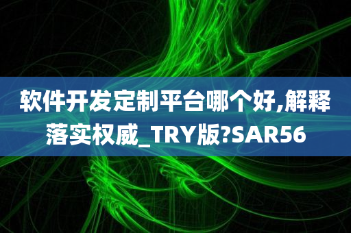 软件开发定制平台哪个好,解释落实权威_TRY版?SAR56