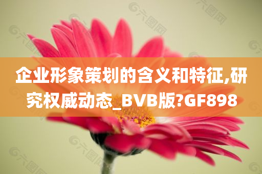 企业形象策划的含义和特征,研究权威动态_BVB版?GF898