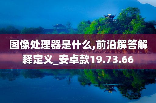 图像处理器是什么,前沿解答解释定义_安卓款19.73.66