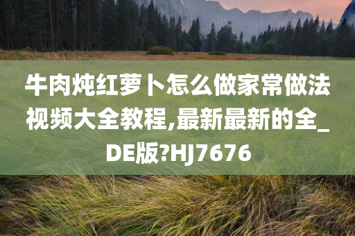 牛肉炖红萝卜怎么做家常做法视频大全教程,最新最新的全_DE版?HJ7676