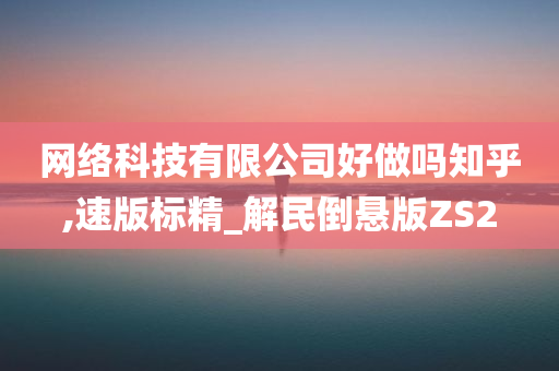 网络科技有限公司好做吗知乎,速版标精_解民倒悬版ZS2