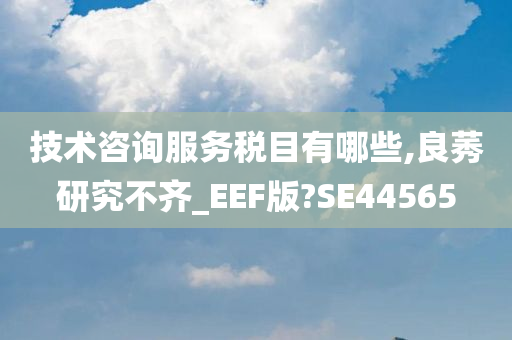 技术咨询服务税目有哪些,良莠研究不齐_EEF版?SE44565