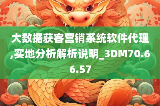 大数据获客营销系统软件代理,实地分析解析说明_3DM70.66.57