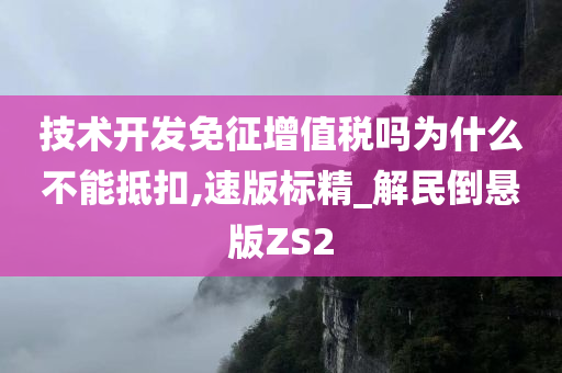 技术开发免征增值税吗为什么不能抵扣,速版标精_解民倒悬版ZS2