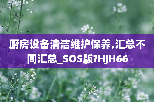 厨房设备清洁维护保养,汇总不同汇总_SOS版?HJH66