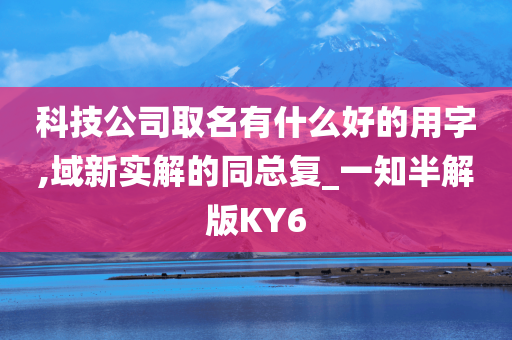 科技公司取名有什么好的用字,域新实解的同总复_一知半解版KY6