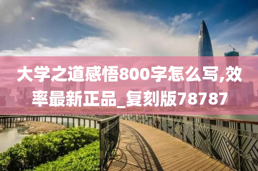 大学之道感悟800字怎么写,效率最新正品_复刻版78787