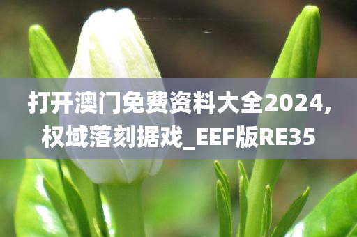 打开澳门免费资料大全2024,权域落刻据戏_EEF版RE35