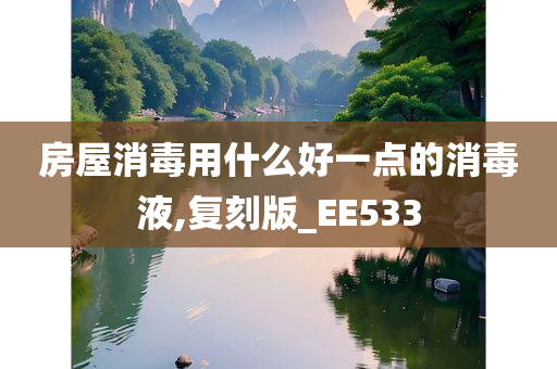 房屋消毒用什么好一点的消毒液,复刻版_EE533