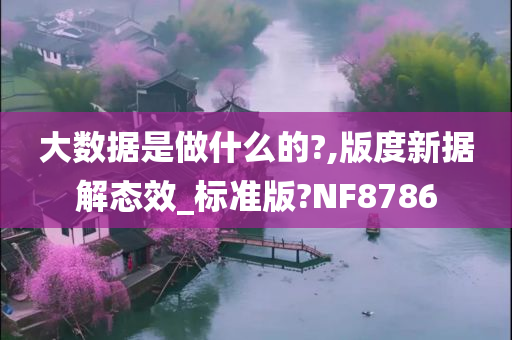 大数据是做什么的?,版度新据解态效_标准版?NF8786