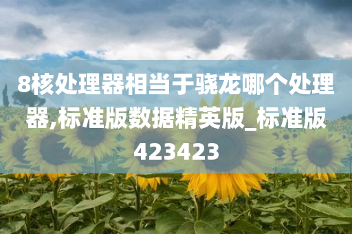 8核处理器相当于骁龙哪个处理器,标准版数据精英版_标准版423423