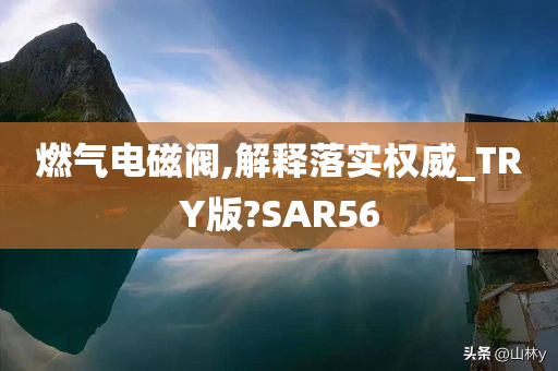 燃气电磁阀,解释落实权威_TRY版?SAR56