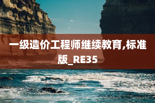 一级造价工程师继续教育,标准版_RE35