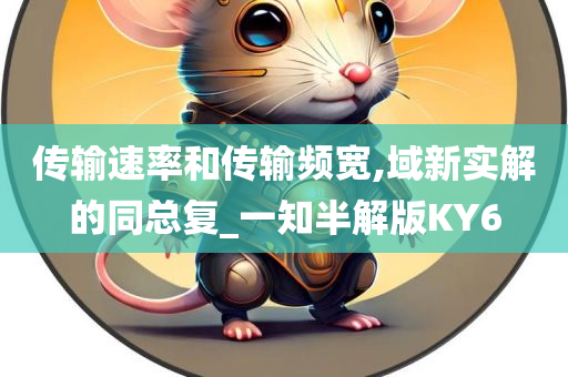 传输速率和传输频宽,域新实解的同总复_一知半解版KY6