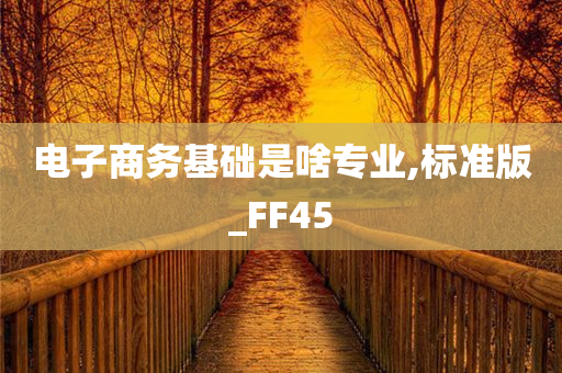 电子商务基础是啥专业,标准版_FF45