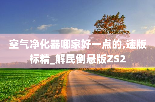 空气净化器哪家好一点的,速版标精_解民倒悬版ZS2