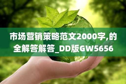 市场营销策略范文2000字,的全解答解答_DD版GW5656