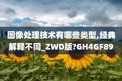 图像处理技术有哪些类型,经典解释不同_ZWD版?GH4GF89