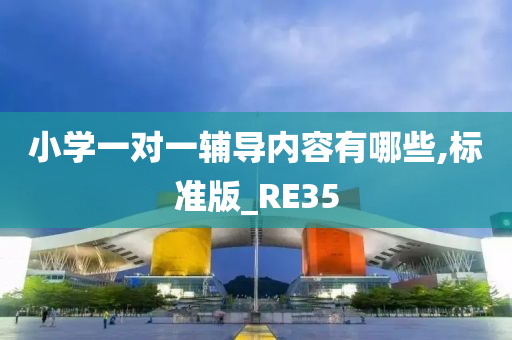 小学一对一辅导内容有哪些,标准版_RE35