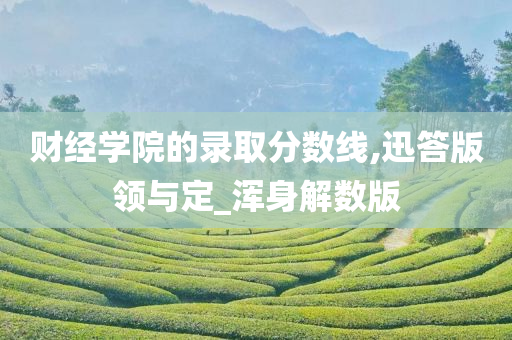 财经学院的录取分数线,迅答版领与定_浑身解数版