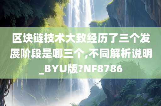 区块链技术大致经历了三个发展阶段是哪三个,不同解析说明_BYU版?NF8786