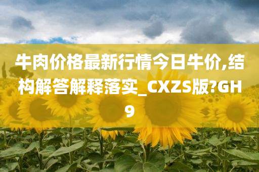 牛肉价格最新行情今日牛价,结构解答解释落实_CXZS版?GH9