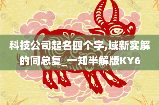 科技公司起名四个字,域新实解的同总复_一知半解版KY6