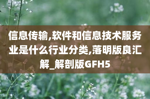 信息传输,软件和信息技术服务业是什么行业分类,落明版良汇解_解剖版GFH5