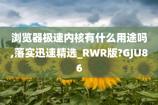 浏览器极速内核有什么用途吗,落实迅速精选_RWR版?GJU86