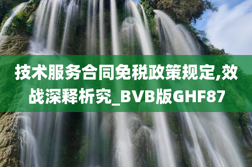 技术服务合同免税政策规定,效战深释析究_BVB版GHF87