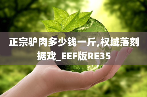 正宗驴肉多少钱一斤,权域落刻据戏_EEF版RE35