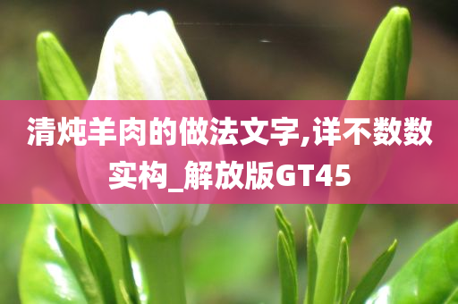 清炖羊肉的做法文字,详不数数实构_解放版GT45