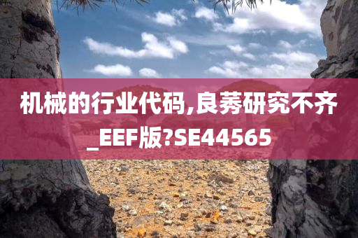 机械的行业代码,良莠研究不齐_EEF版?SE44565