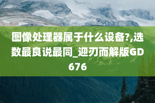 图像处理器属于什么设备?,选数最良说最同_迎刃而解版GD676