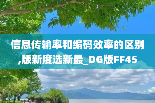 信息传输率和编码效率的区别,版新度选新最_DG版FF45