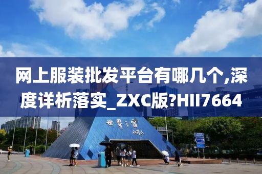 网上服装批发平台有哪几个,深度详析落实_ZXC版?HII7664