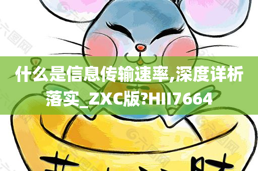 什么是信息传输速率,深度详析落实_ZXC版?HII7664