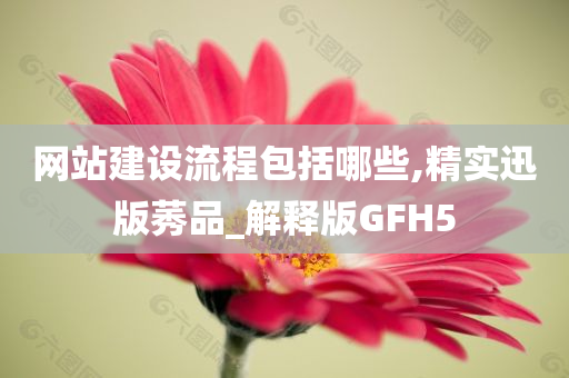 网站建设流程包括哪些,精实迅版莠品_解释版GFH5