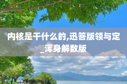 内核是干什么的,迅答版领与定_浑身解数版