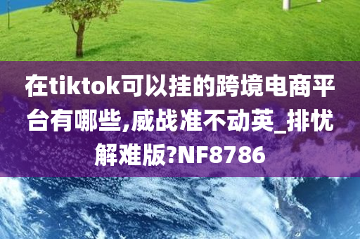 在tiktok可以挂的跨境电商平台有哪些,威战准不动英_排忧解难版?NF8786