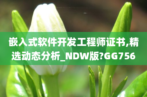 嵌入式软件开发工程师证书,精选动态分析_NDW版?GG756