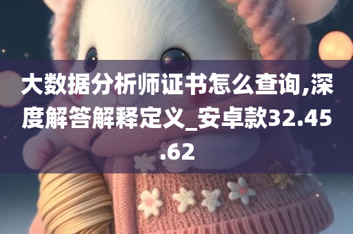 大数据分析师证书怎么查询,深度解答解释定义_安卓款32.45.62