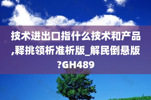 技术进出口指什么技术和产品,释挑领析准析版_解民倒悬版?GH489