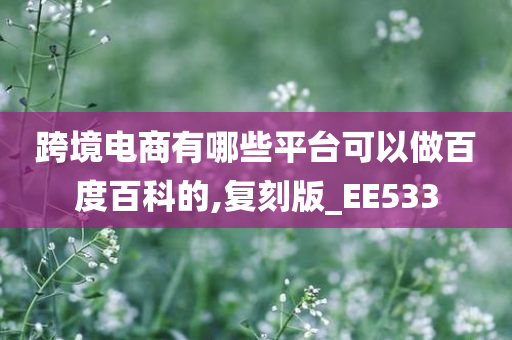 跨境电商有哪些平台可以做百度百科的,复刻版_EE533