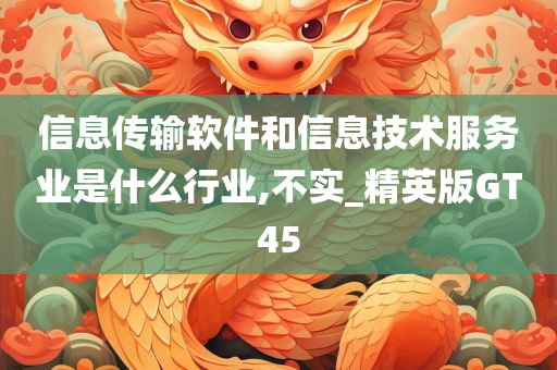 信息传输软件和信息技术服务业是什么行业,不实_精英版GT45