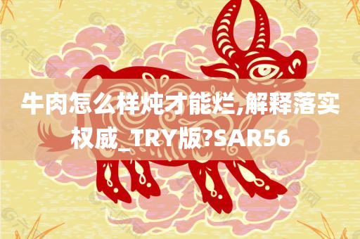 牛肉怎么样炖才能烂,解释落实权威_TRY版?SAR56