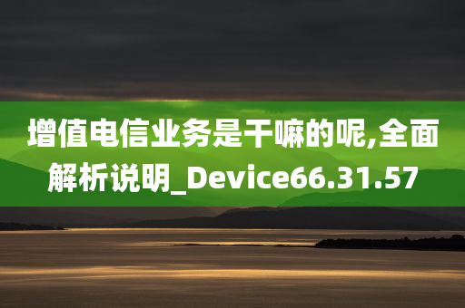 增值电信业务是干嘛的呢,全面解析说明_Device66.31.57