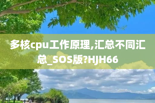 多核cpu工作原理,汇总不同汇总_SOS版?HJH66