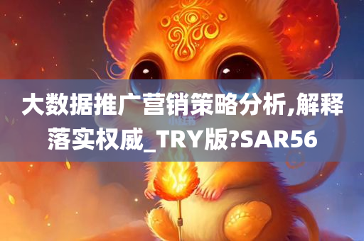 大数据推广营销策略分析,解释落实权威_TRY版?SAR56